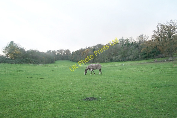 Photo 6"x4" Wooded-Sided Valley Coddington\/SO7142 c2006