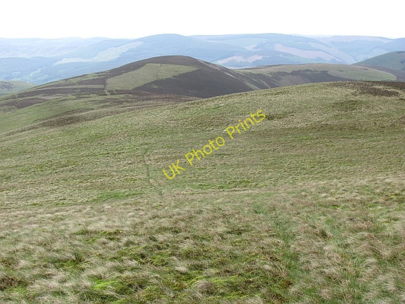Photo 6"x4" Plover Knowe Walkerburn c2011