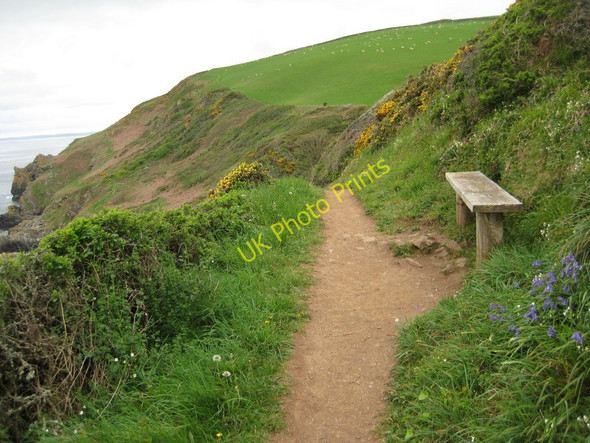 Photo 6"x4" Bench beside the coast path Polperro c2011