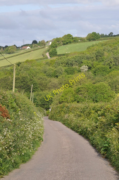Photo 6"x4" The view across a wooded valley towards Bickleton Bickleton c2011