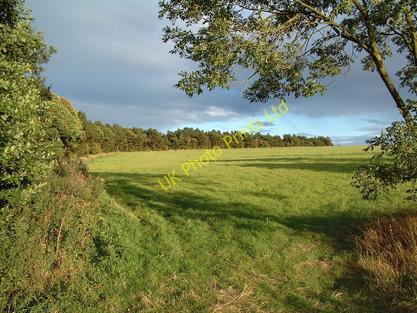 Photo 6"x4" Chair Wood, Billinge Billinge c2005