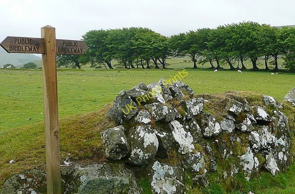 Photo 6"x4" Bridleway to the moor Forda\/SX5390 c2011