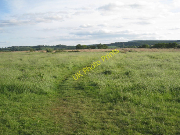 Photo 6"x4" The path to Exminster from Topsham ferry Topsham c2011