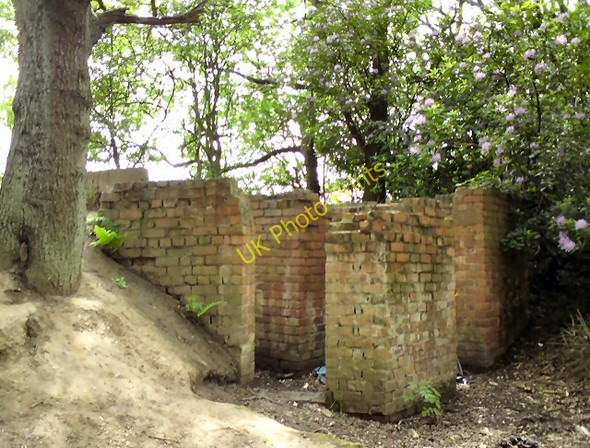 Photo 6"x4" Bluebell Centre Hyde\/SJ9494 c2011 P1