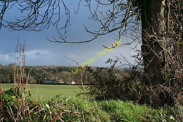 Photo 6"x4" Membury: towards Oxenways Twist c2006