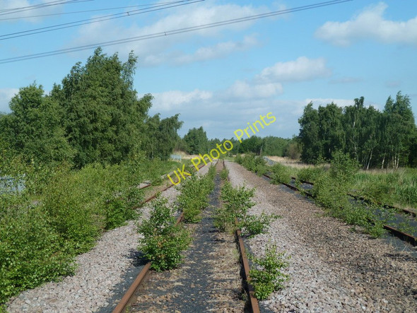 Photo 6"x4" Disused coal depot railway line Staveley\/SK4374 c2011
