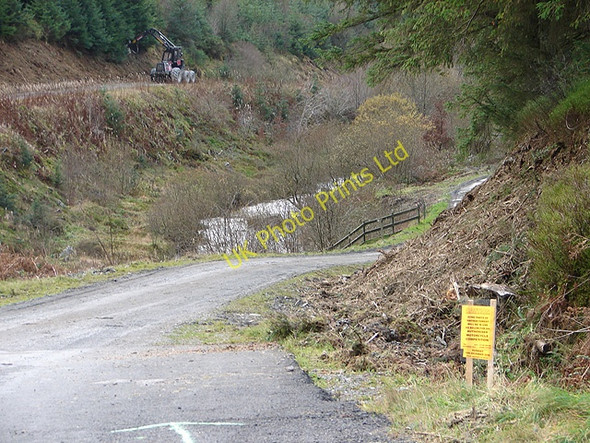 Photo 6"x4" Forestry track in the Hafren Forest Tynyrwtra\/SN8885 c2006