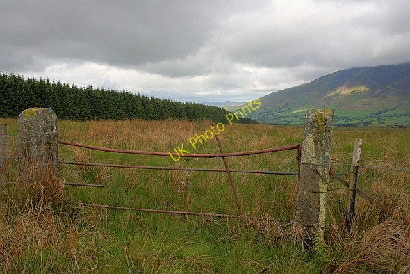 Photo 6"x4" Rusty Old Gate Matterdale End c2011