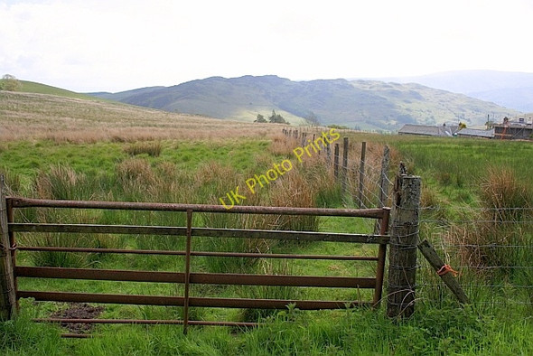 Photo 6"x4" Gate to Field near Cockley Moor Dockray\/NY3921 c2011