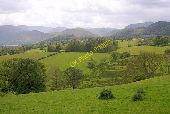 Photo 6"x4" Fields near High Longthwaite Longthwaite\/NY4322 c2011