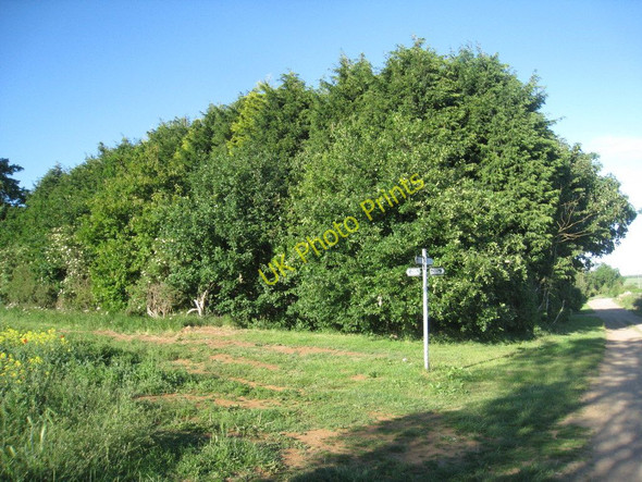 Photo 6"x4" Junction of bridleway and footpath Fulbeck\/SK9450 c2011