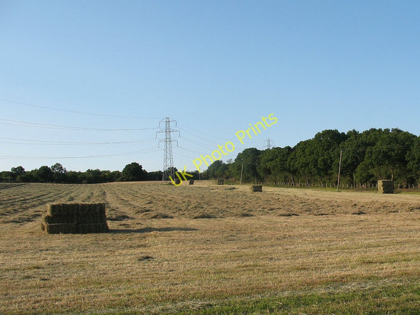 Photo 6"x4" Making hay while the sun shines Hoddesdon c2011