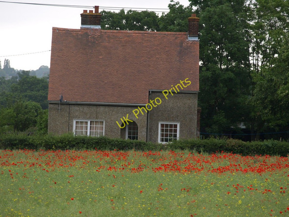 Photo 6"x4" At the field's edge Ampthill c2011