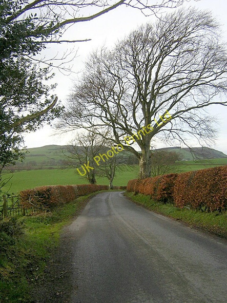 Photo 6"x4" Minor Road Near Broomrigg Lochmaben c2006
