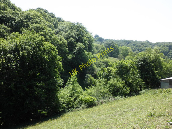 Photo 6"x4" Little River valley Hawkridge c2011