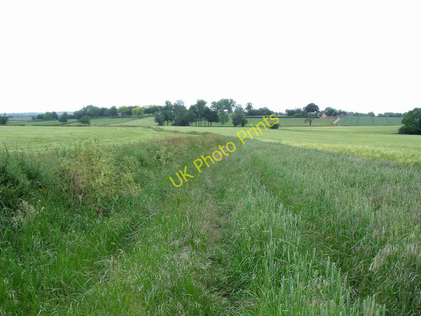 Photo 6"x4" Old track-way to Repton Newton Solney c2011