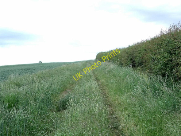 Photo 6"x4" Old track-way to Winshill Newton Solney c2011