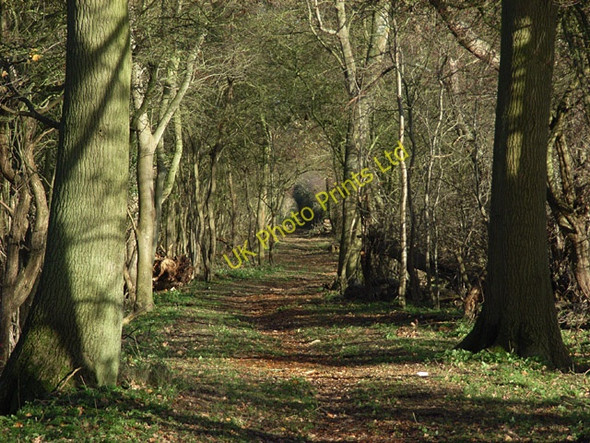 Photo 6"x4" Bridleway near Drayton Drayton\/SU4794 c2006