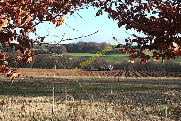 Photo 6"x4" Harvest Time Orton\/NJ3153 c2006