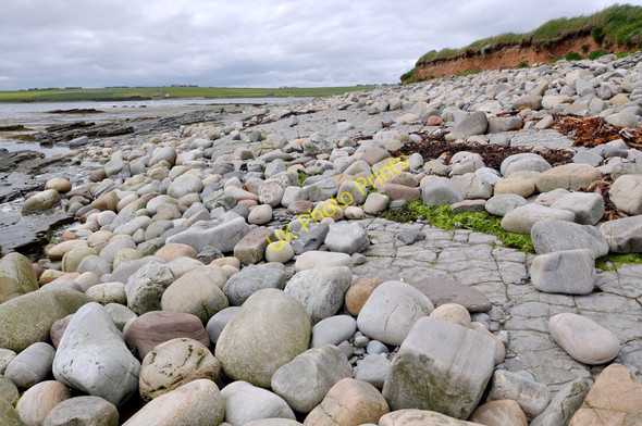 Photo 6"x4" Stones at Newark Upper Sanday c2011