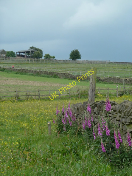 Photo 6"x4" Footpath between Hollins and Wigley Hollins\/SK3271 c2011