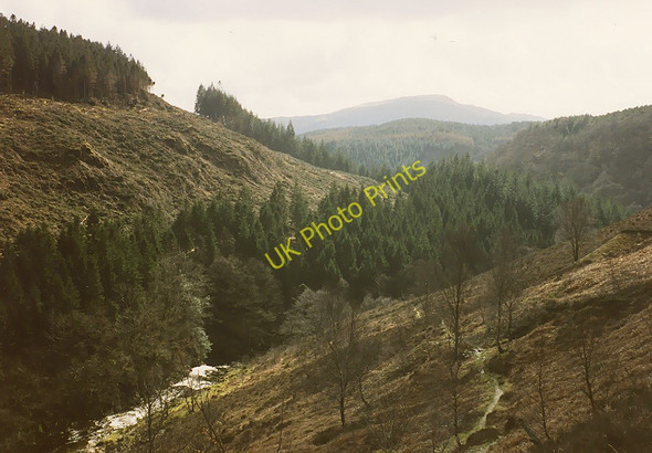 Photo 6"x4" Footpath climbing above the Afon Mawddach Bedd-y-coedwr c1987