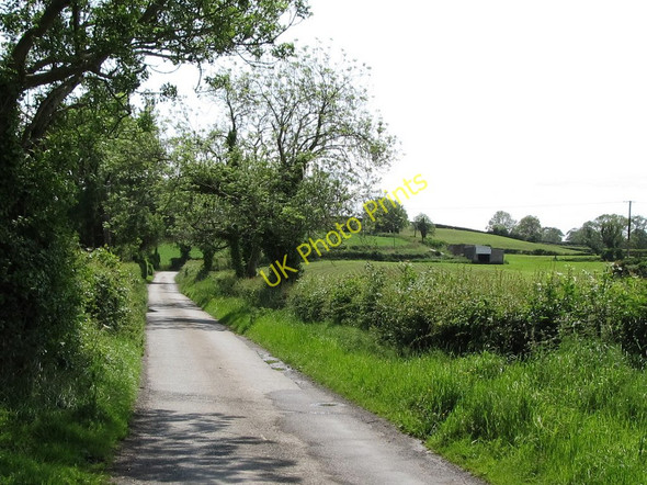 Photo 6"x4" Approaching the dog-leg section of the Loughmoney Road Saul\/J5046 c2011