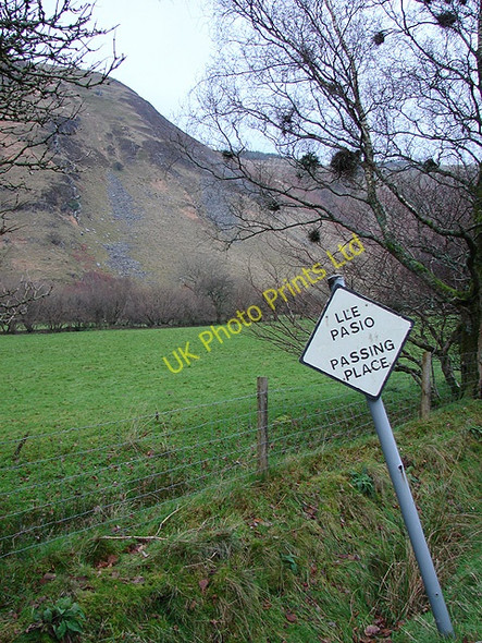 Photo 6"x4" Passing place in the lane in Cwmberwyn Afon Berwyn c2006