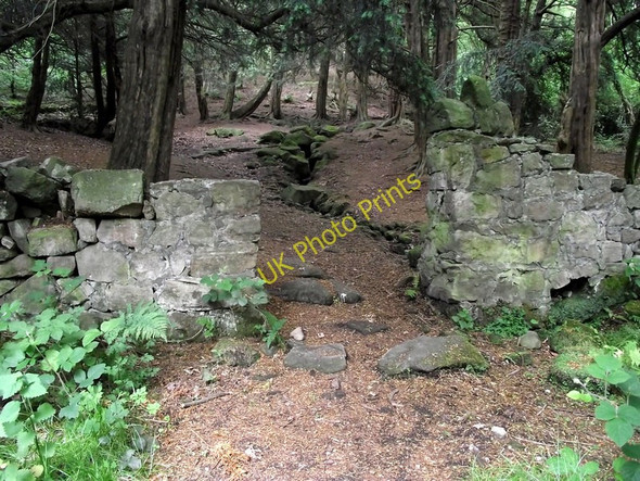 Photo 6"x4" Entrance to Gawton's Well Biddulph c2011