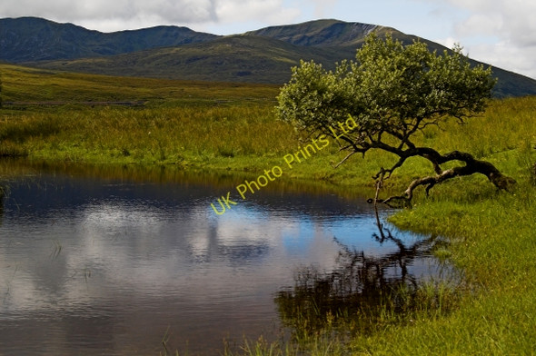 Photo 6"x4" Loch Gowan Achnasheen\/Achadh na Sine c2005