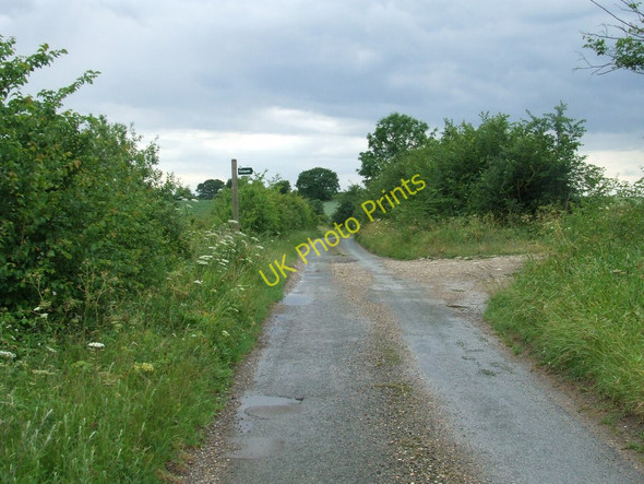 Photo 6"x4" Footpath off country lane Sowley Green c2011