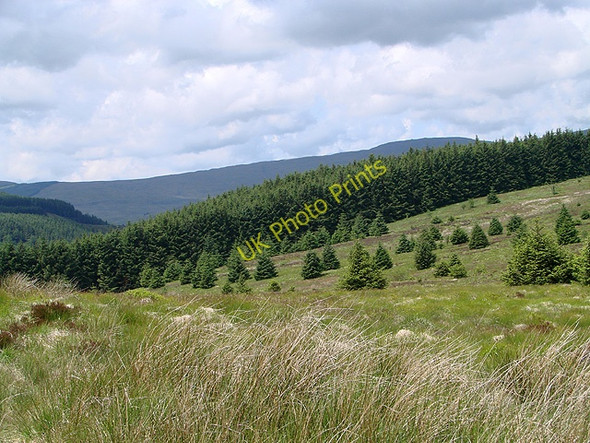 Photo 6"x4" Blaen Ffos-lwyd Pont Rhydgaled c2011