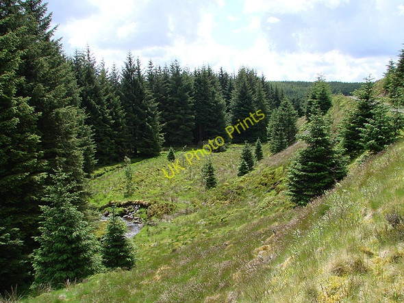 Photo 6"x4" Afon Diliw looking south Pont Rhydgaled c2011