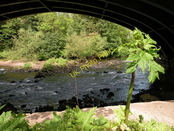 Photo 6"x4" River Kelvin under Great Western Bridge Glasgow c2011