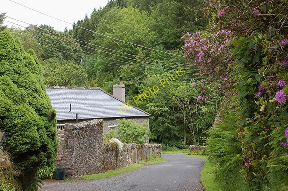 Photo 6"x4" A quiet corner near Yair Yair c2011