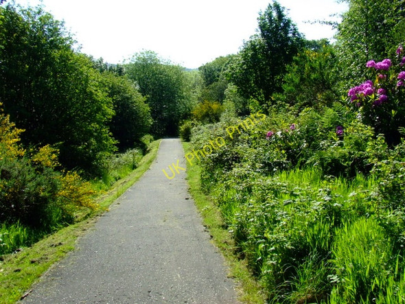 Photo 6"x4" Footpath on Tower Hill Gourock c2011