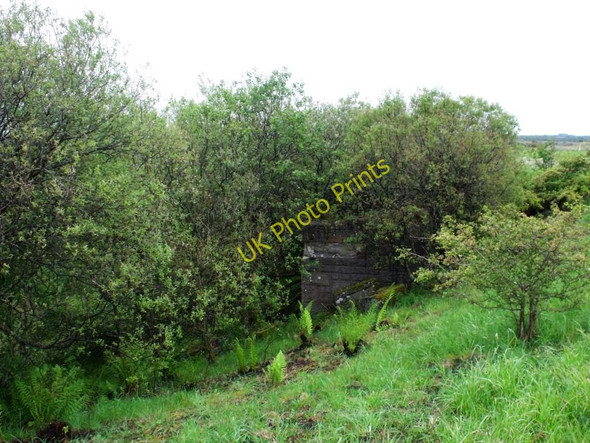 Photo 6"x4" Stanrigg Reservoir (Disused) (2) Greengairs c2011
