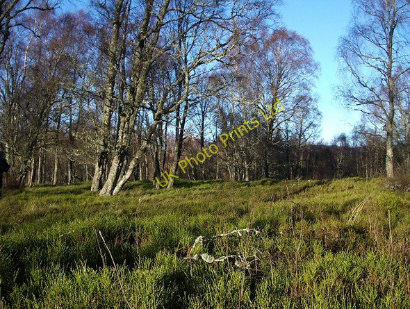 Photo 6"x4" Birks of Aberfeldy Aberfeldy c2006