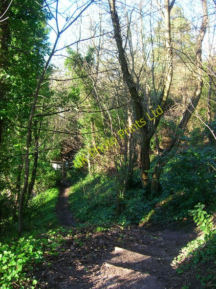 Photo 6"x4" Footpath to Ringmer Lewes c2006