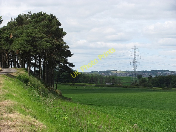 Photo 6"x4" Wheat field, Little Raith Lochgelly c2011