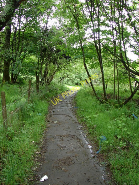 Photo 6"x4" Footpath off Kirn Drive Gourock c2011