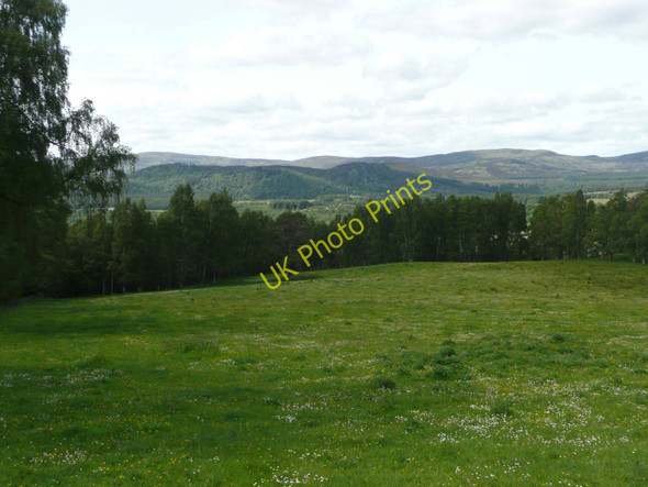 Photo 6"x4" Pasture between the trees Insh\/NH8101 c2011
