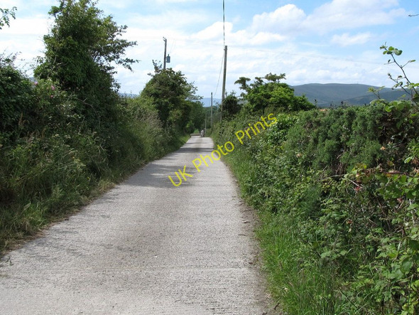 Photo 6"x4" View west along Ballymagart Lane Kilkeel c2011