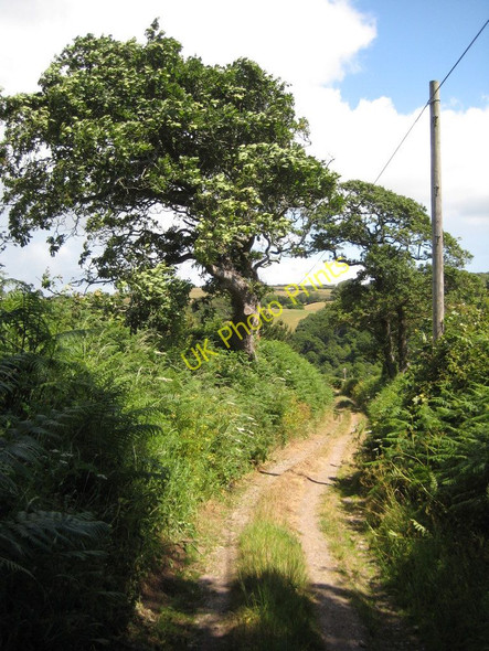 Photo 6"x4" Track above Blackpool Sands Blackpool\/SX8547 c2011