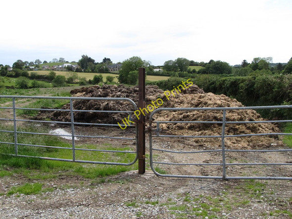 Photo 6"x4" A dunghill alongside the Ballymagart Lane Kilkeel c2011