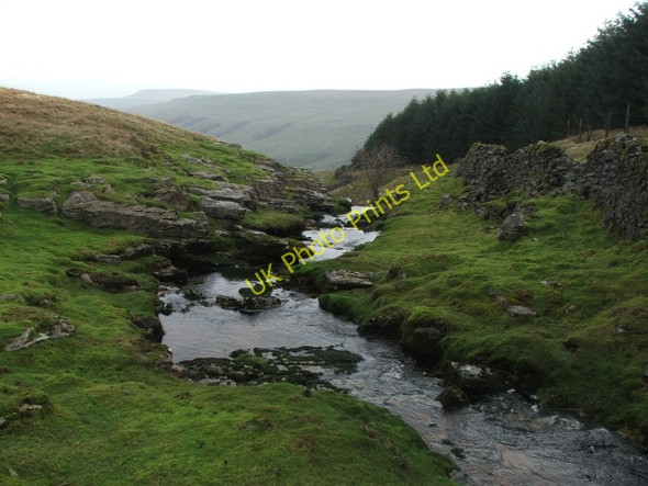 Photo 6"x4" Back Gill. Cray\/SD9479 c2006