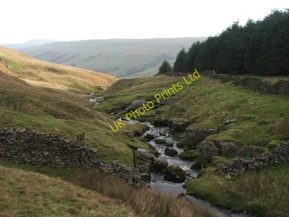 Photo 6"x4" Back Gill. Cray\/SD9479 c2006