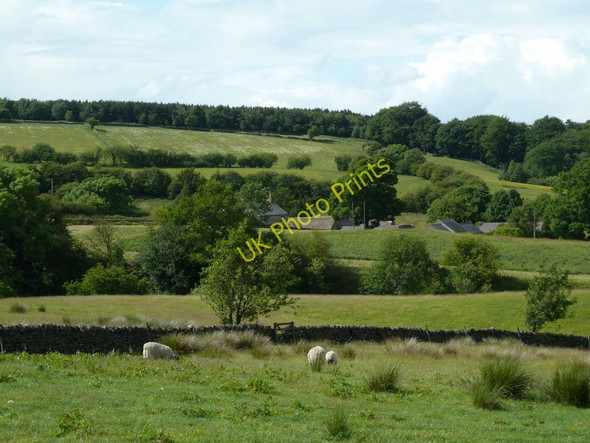 Photo 6"x4" Farmland around Harewood Grange Upper Loads c2011