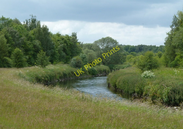 Photo 6"x4" River Rother in the country park Holbrook\/SK4481 c2011
