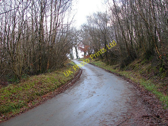 Photo 6"x4" Country lane near Blaen Pathiog Cwmbelan c2006